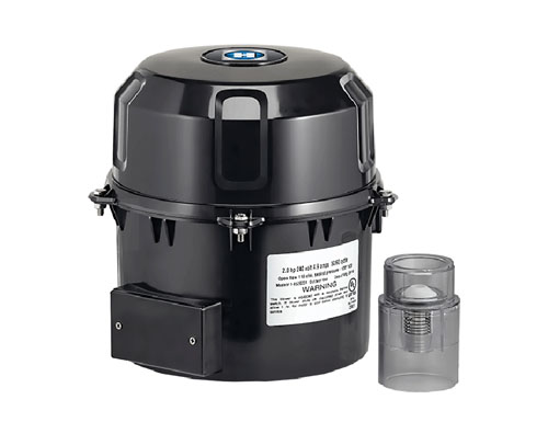 Pool and Spa Combination