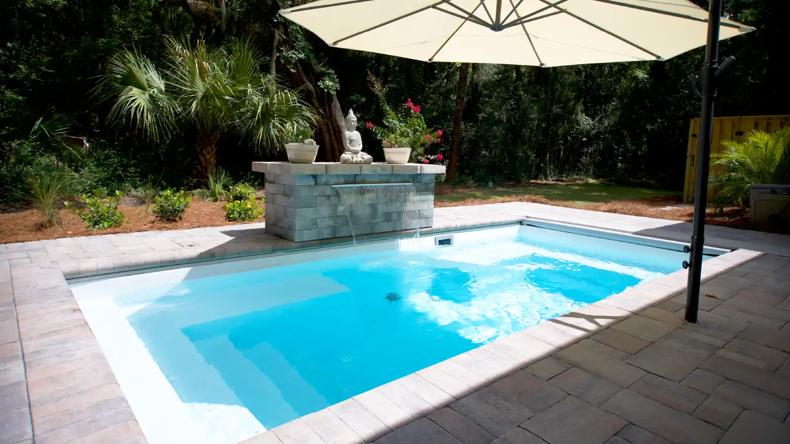 Is a Plunge Pool Right for You?